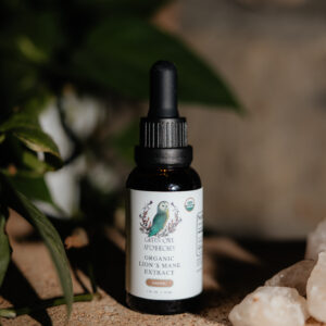 Lion's Mane Tincture