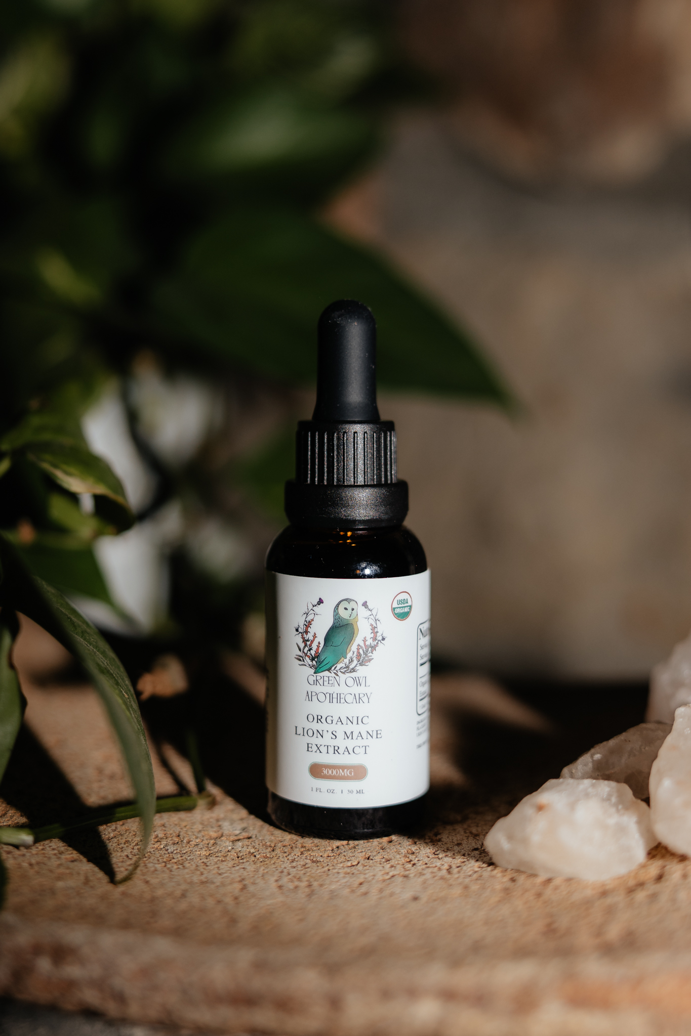 Lion's Mane Tincture - Green Owl Apothecary